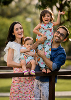 Família Flavia